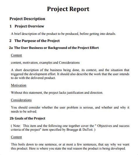 sample project report template
